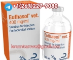 Telgrm+1267.227.9080.Buy Sodium Pentobarbital 400Mg/Ml Injection In Hong Kong